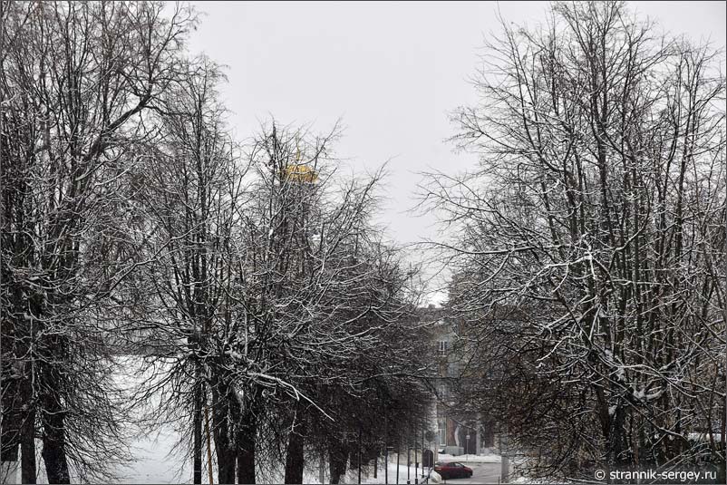 Город Владимир деревья на улицах