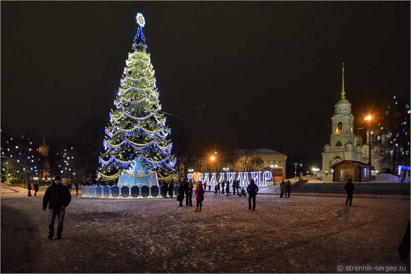 Новогодняя елка в городе Владимире