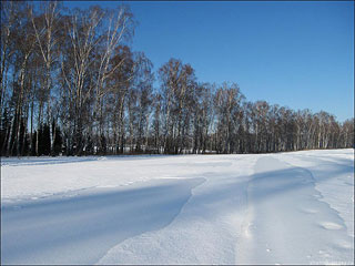 Лыжный поход: пл. 66-й км - Слепушкино - Жохово - Никоново - Свитино - пл. Львовская