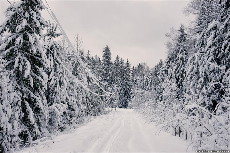 Фото Гжель Провода, покрытые снегом