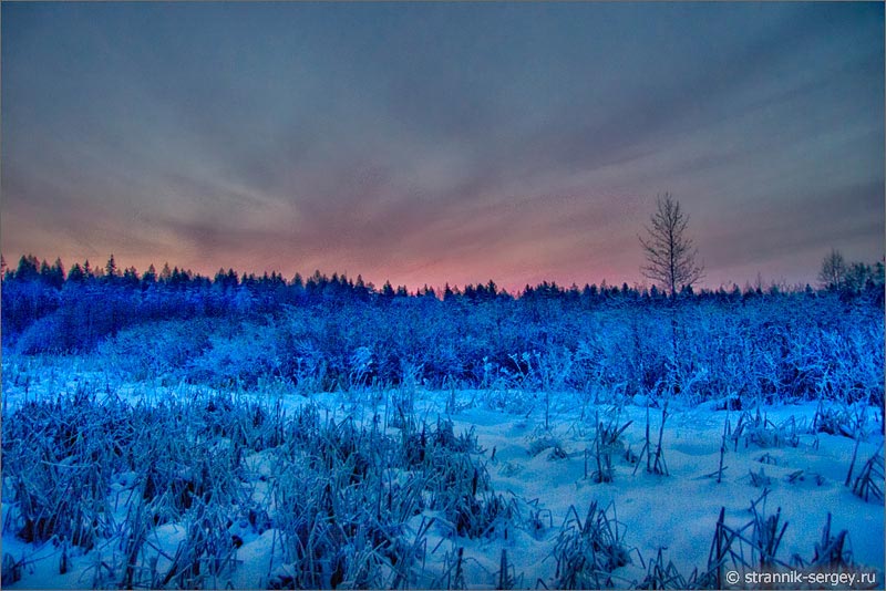 Зима, декабрь: самая длинная ночь, самый 