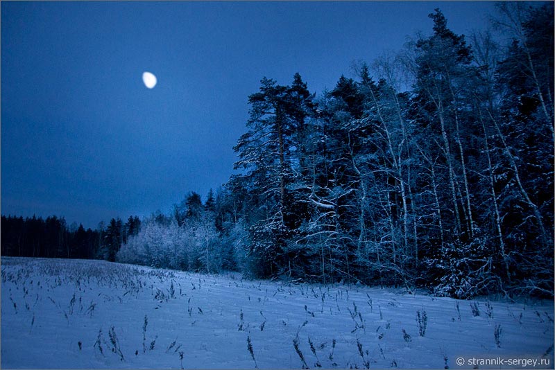 Зима декабрь самая длинная ночь луна