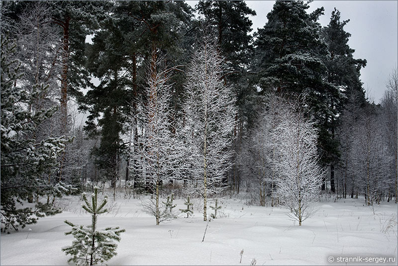 Зима - природа