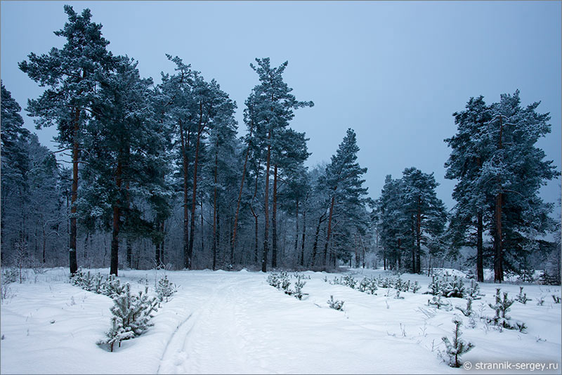 Зима - природа