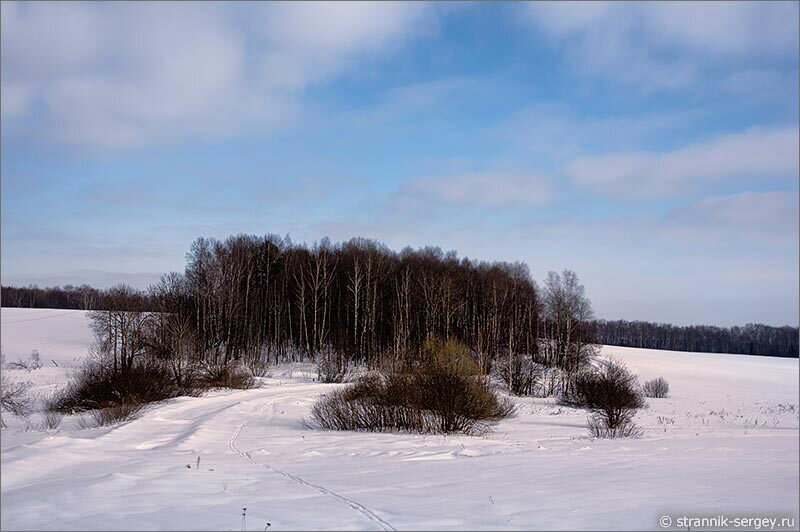 Храмы Подмосковья