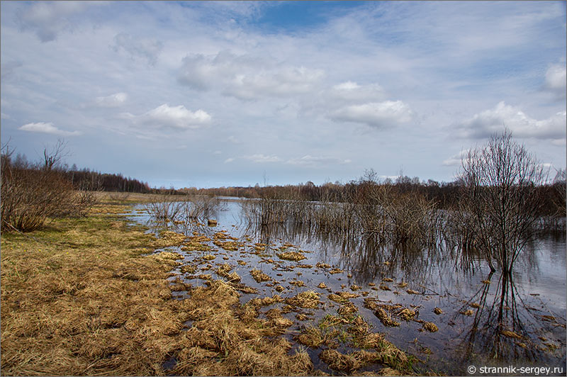 Река Дубна - разлив