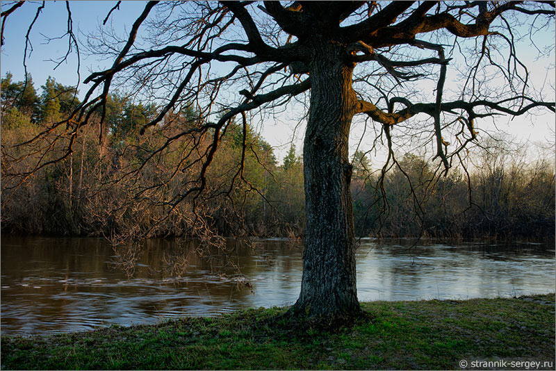 Весеннее утро - река