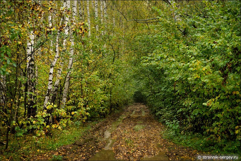 Заповедный лес Орешник