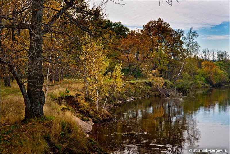 Осенняя природа Золотая осень река