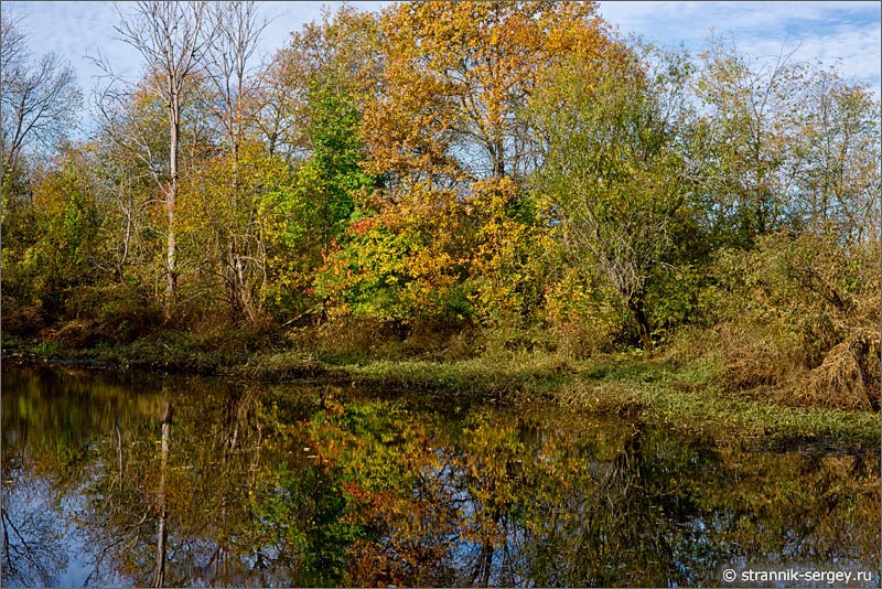 Осень лесное озеро старица река