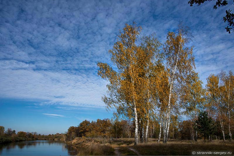 Осенняя природа Осень Вода Лес Река Клязьма