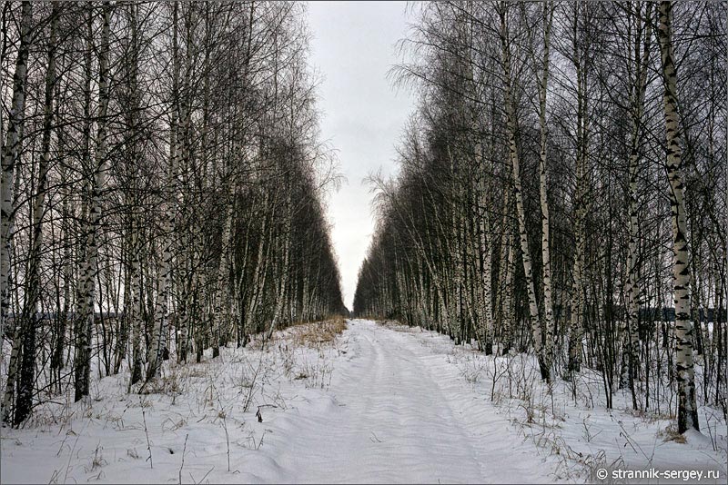 Зима, декабрь, зимняя дорога