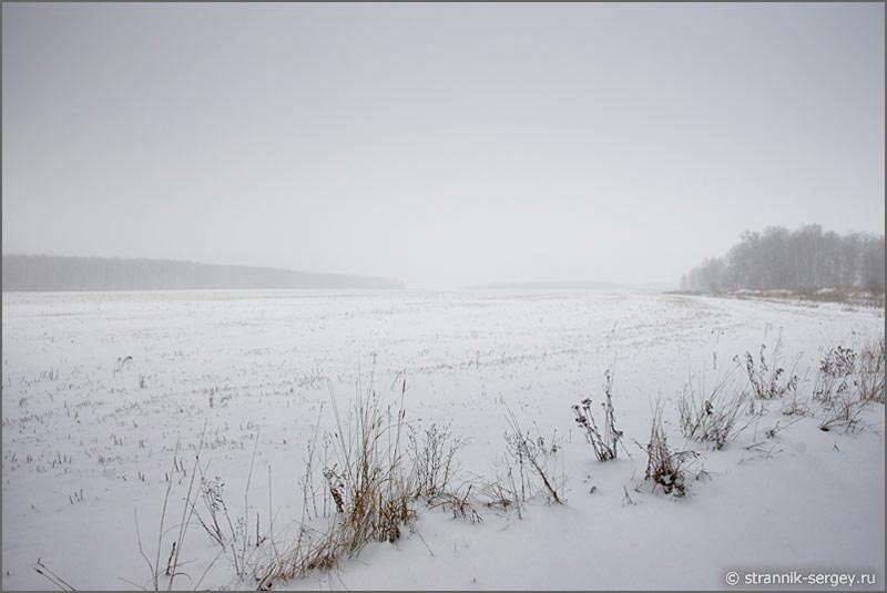 Зима, декабрь, поле, туман