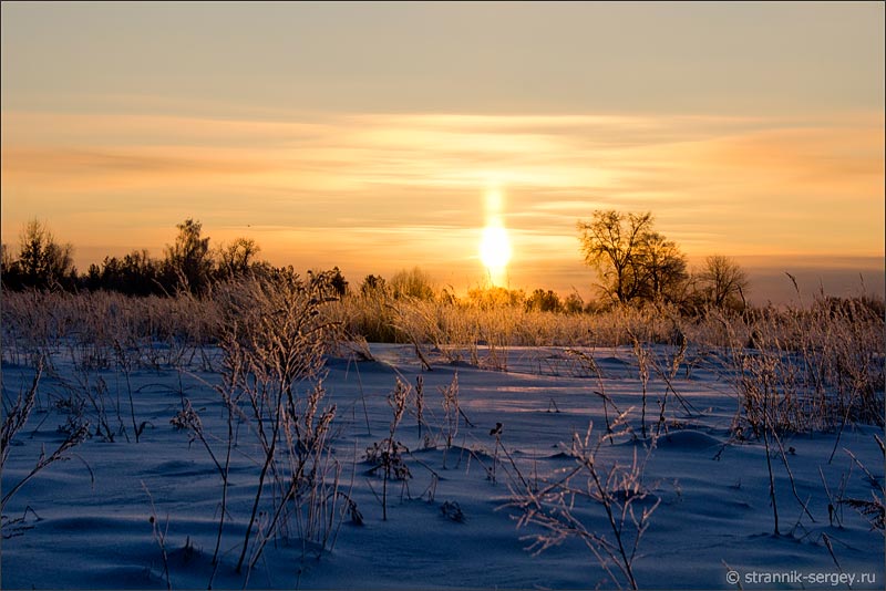 Закат Солнца в зимнем лесу