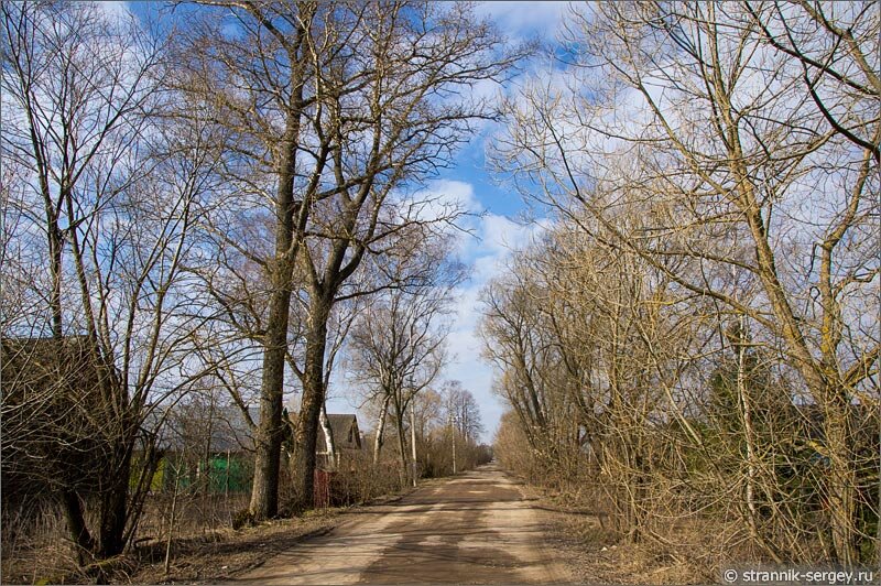 Весенняя прогулка
