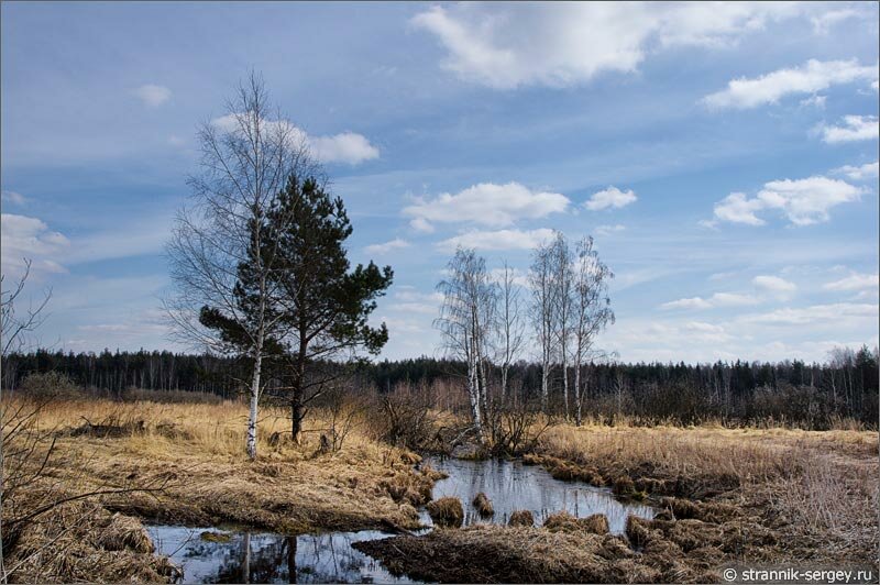Весеннее болото Деревня весенняя прогулка