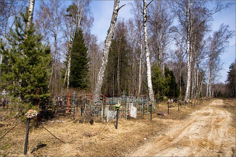 кладбище весной