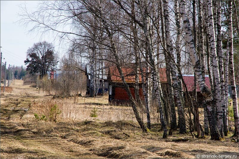 Весенняя деревня Весенняя прогулка