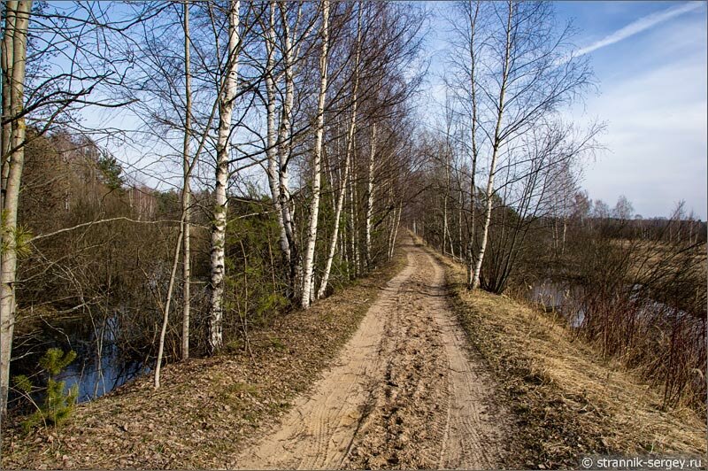 Весенняя прогулка