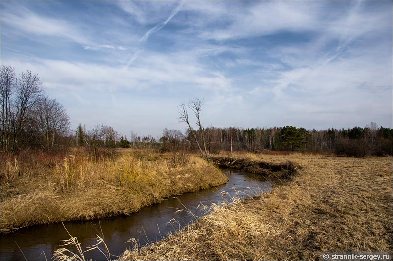 Деревни, леса, болота и реки: весенняя прогулка по Владимирским проселкам