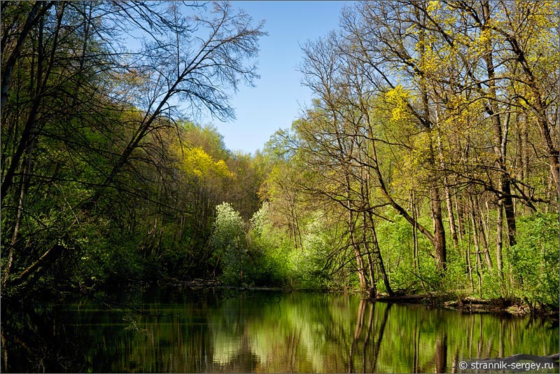 Весна - фото река среди леса