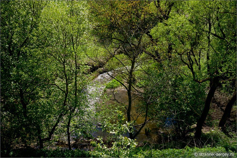 Весна — фото река Осетр