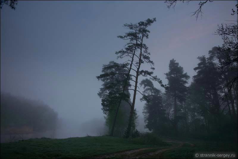Туманное утро на берегу реки - в лесу цветут деревья