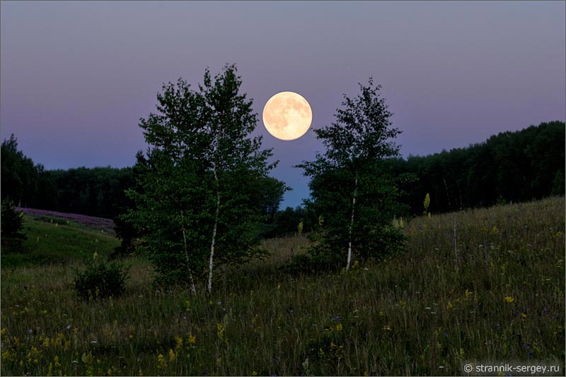 Лунная ночь полнолуние фото картина