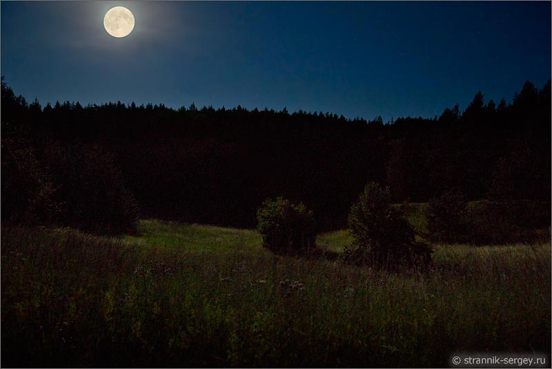 Лунная ночь полнолуние луна над лесом лугами и полями кусты