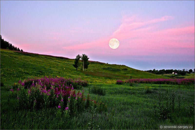 Лунная ночь в полнолуние: река, холмы, леса, луга и поля - фото картина