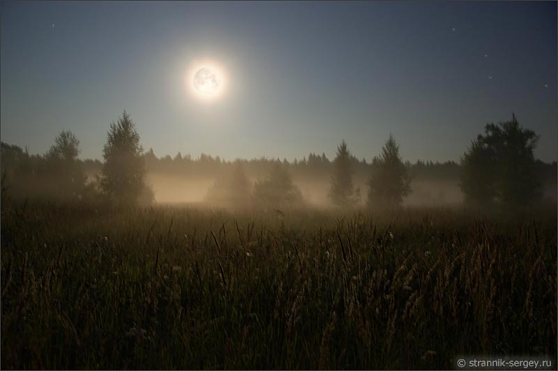 Ночь полнолуние луна туман луг лес