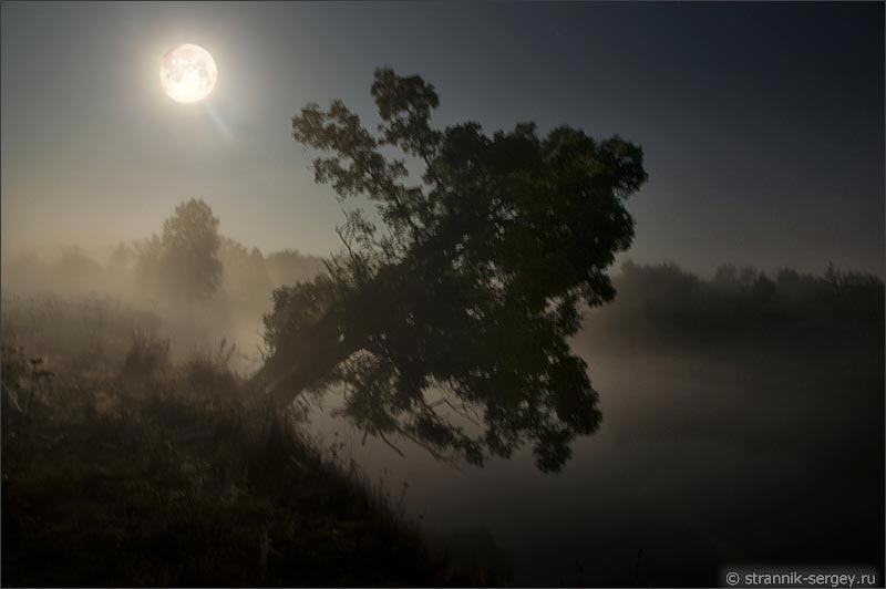 Ночь полнолуние луна река туман лес луг деревья