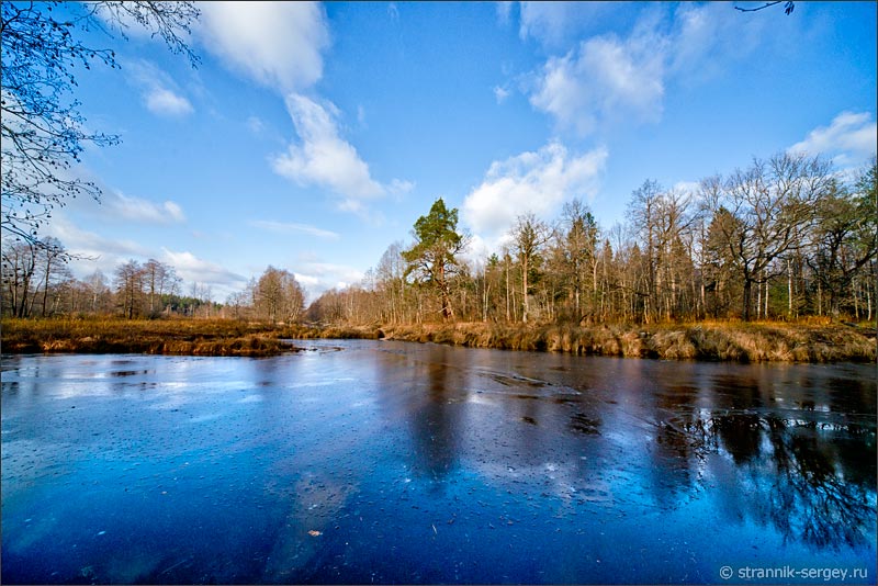 Замерзшая реки среди деревьев поздней осенью в ноябре