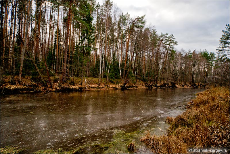 Замерзшая река среди деревьев поздней осенью в ноябре
