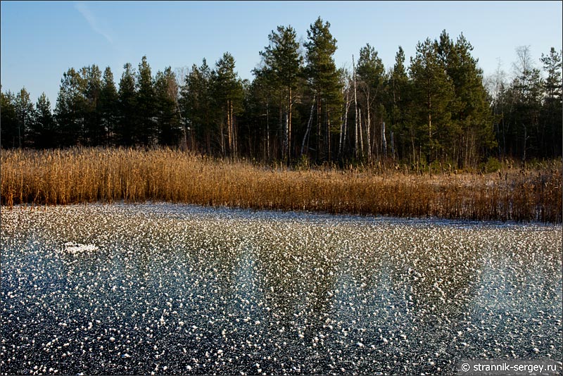 Осень, замерзшее озеро в лесу иней