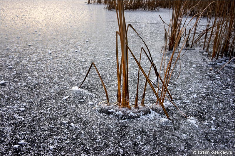 Лед как стекло на замерзшем озере