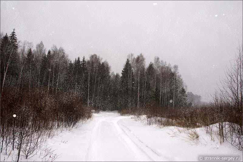 Снегопад - лес, поле