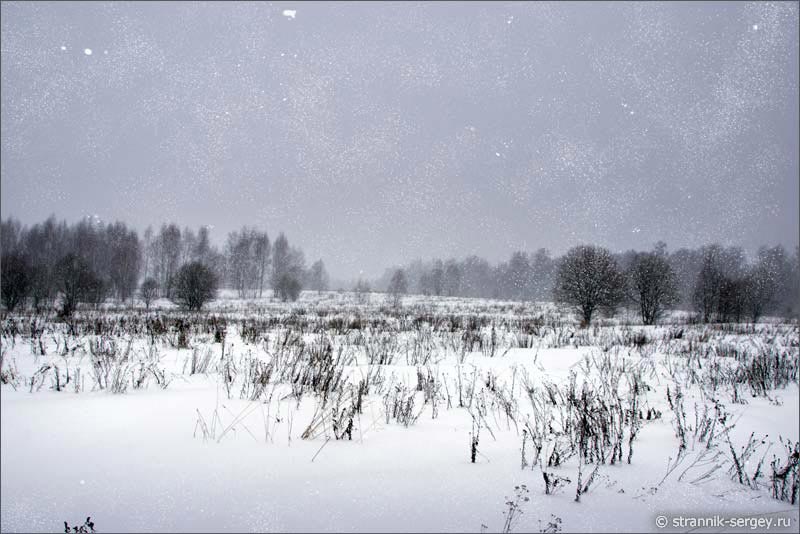 Снегопад в поле