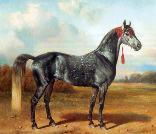 Лошадь рысак орловской породы в усадьбе графа Нарышкина в Елпатьево