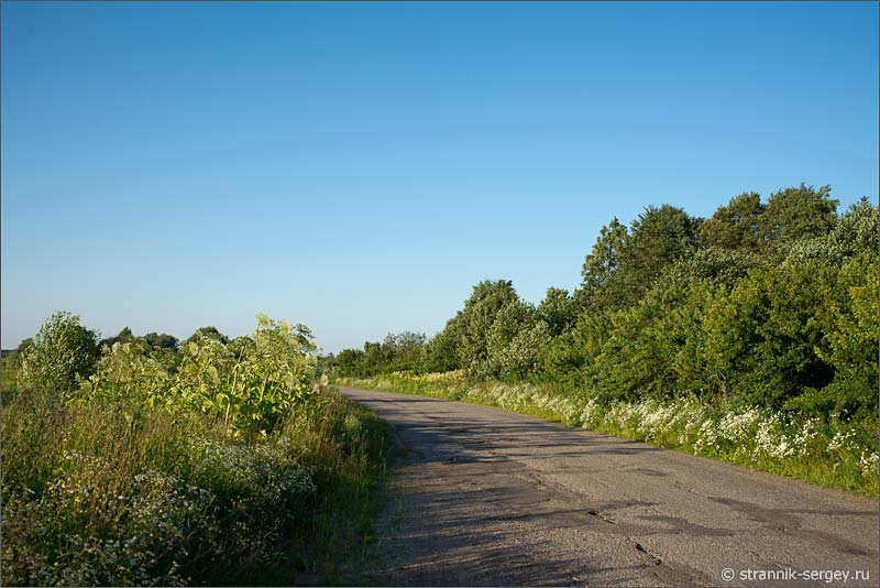 Фото деревенской дороги