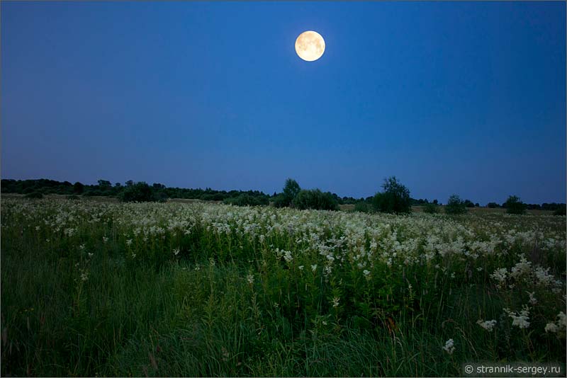Ночь в лесу рассвет над полем полная луна
