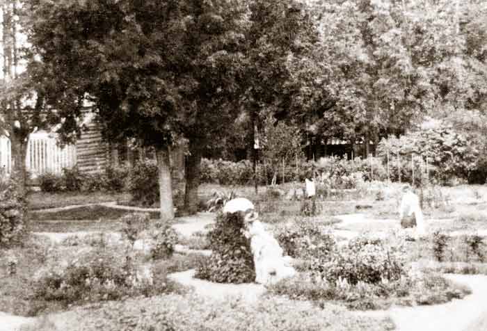 Усадьба Елпатьево, усадебный парк, старое фото