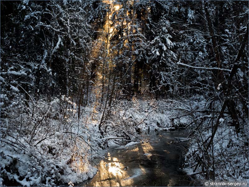 Рождественская история в лесу - мороз и солнце