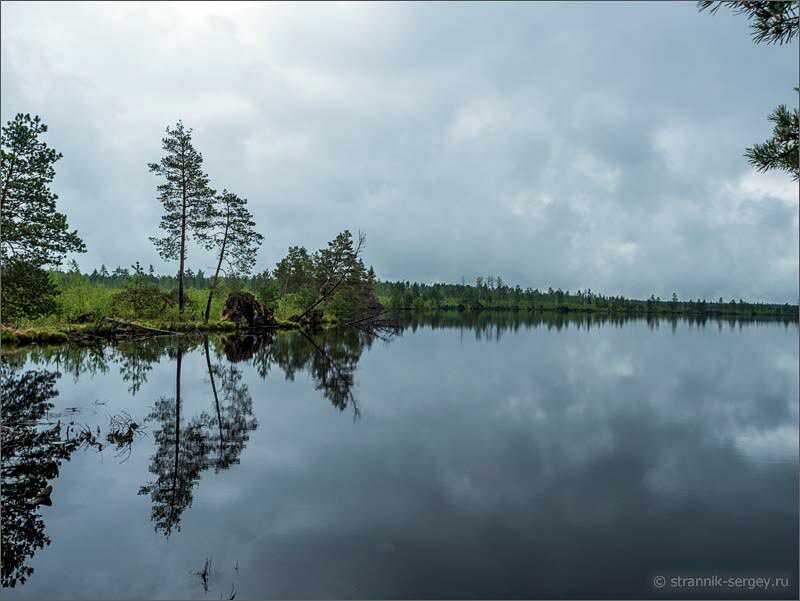 Озеро среди болот.